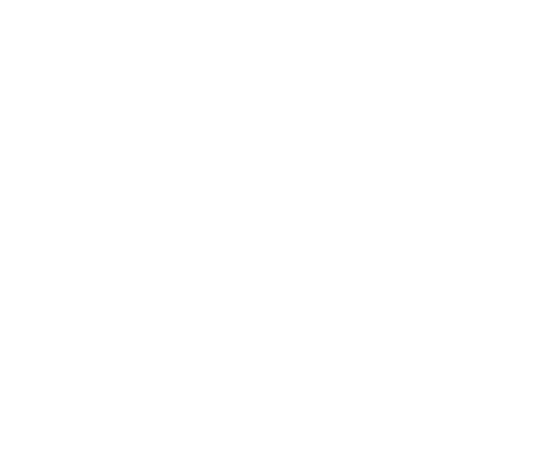 classfied ad wp theme